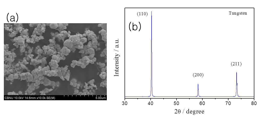 (a) SEM image and (b) XRD pattern of W powder.