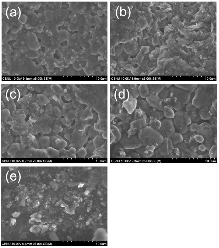 SEM images of sintered SiC with nano-size Si/SiC composite powders having different activated carbons,