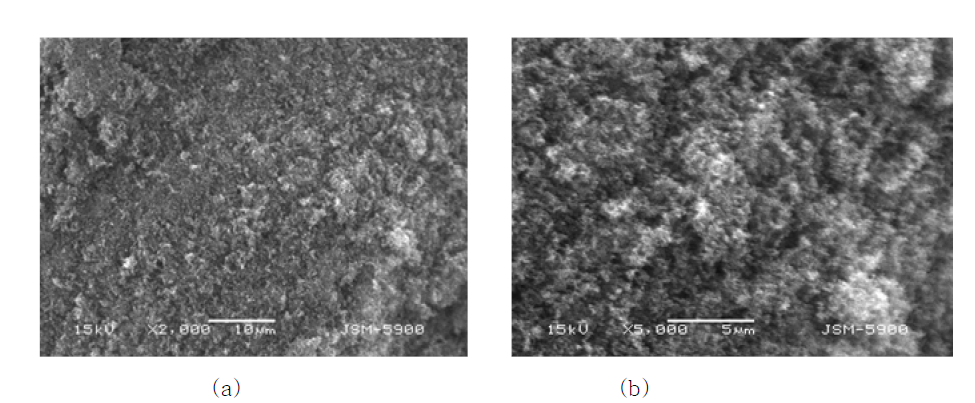 SEM images of (a) carbon black and (b) activated carbon.