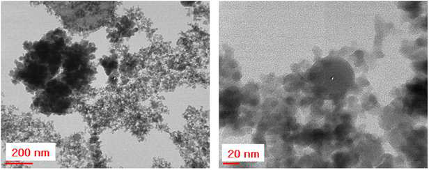 TEM images of SiC nano powders after plasma treatment.