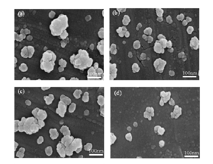 FESEM images of SiC powders with molar ratio 1:3 and 1:4 before and after heat treatment .