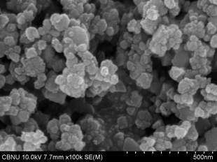 FESEM image of commercial SiC nanoparticle.