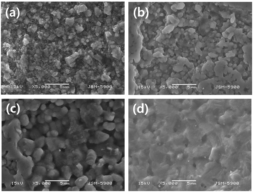 FESEM images of SiC pellets sintered with nano-size SiC powder as a sintering additive at various sintering conditions,