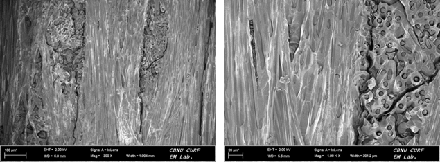시험 후 Carbon 복합재 시편의 표면 SEM 이미지