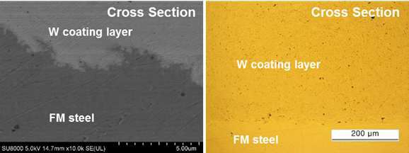 예/후열 공정을 통한 FM강/W 코팅 절단면 SEM사진
