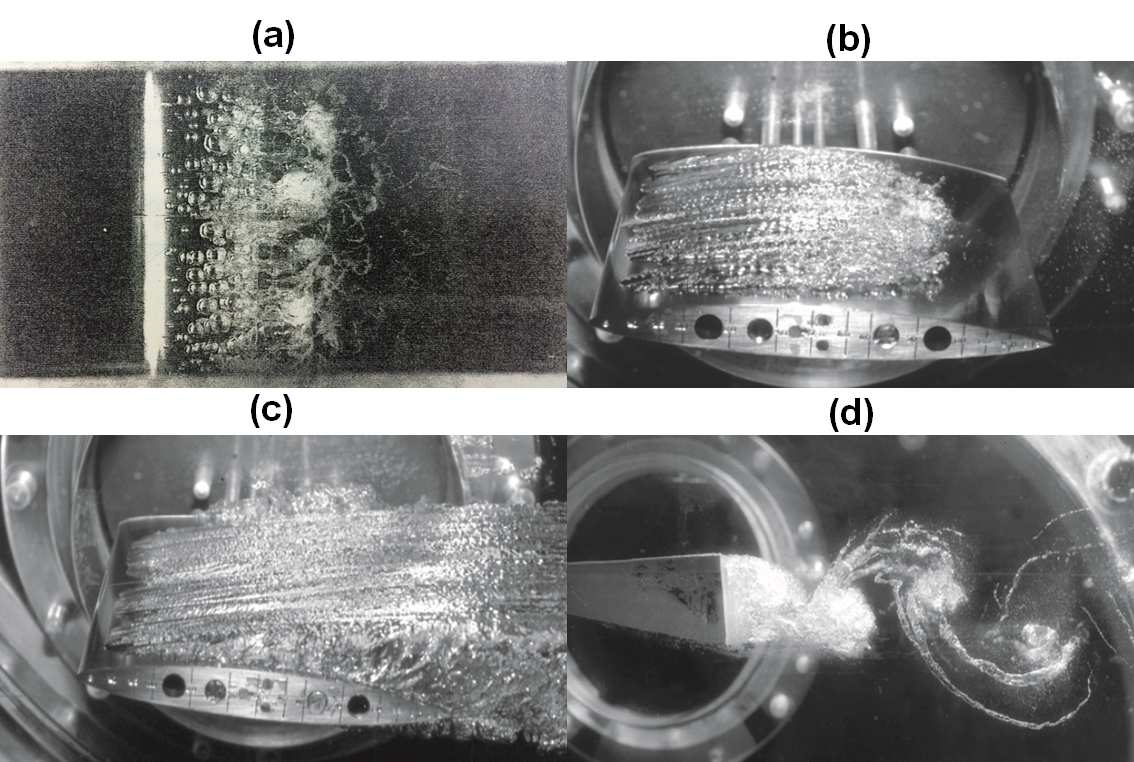 Hydrofoil에서의 캐비테이션 현상; (a) bubble cavitation, (b) partial cavitation, (c) super cavitation, (d) cavitating vortices