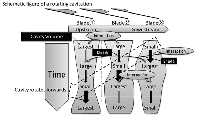 Rotating cavitation 전파 메커니즘