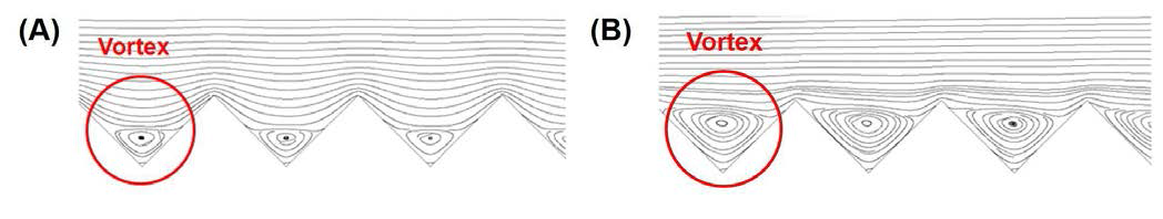 유입 속도에 따른 와류 영역의 크기 변화 : (A) umax=0.01m/s, (B) umax=0.5m/s.