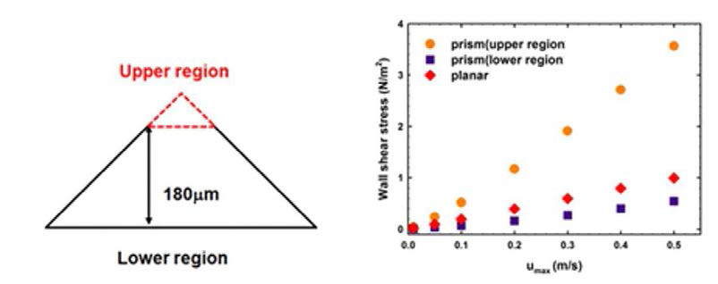 국부 전단 응력(local shear stress)의 측정 영역 및 유속에 따른 변화 양상.