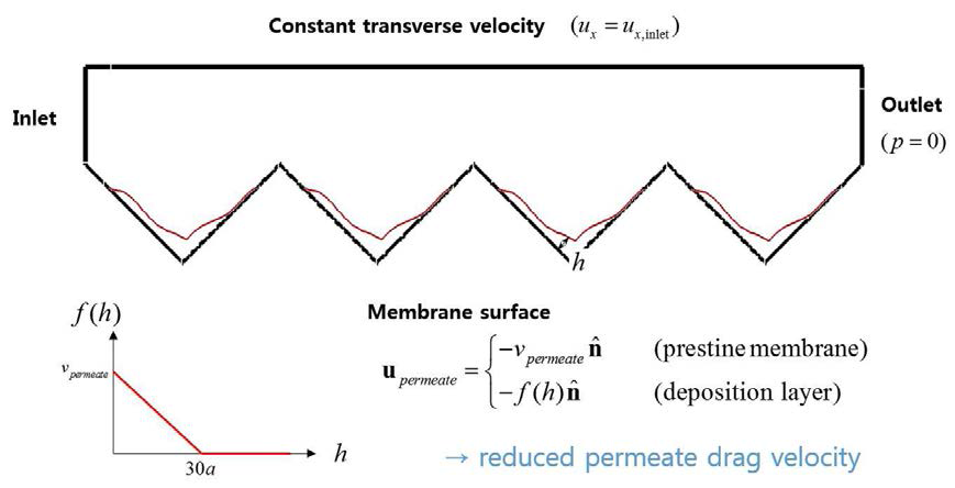 교차 흐름 입자 적층(cross-flow particle deposition) 시뮬레이션에의 적용.