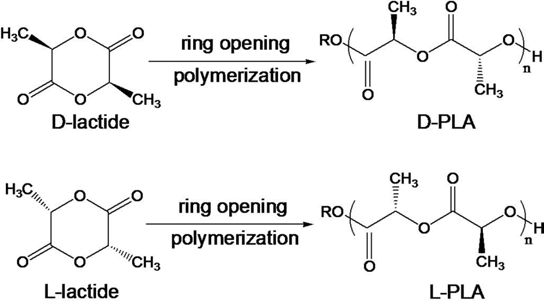 PLLA 및 PDLA 중합에 관한 연구
