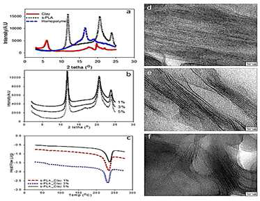 s-PLA/clay nanocomposite