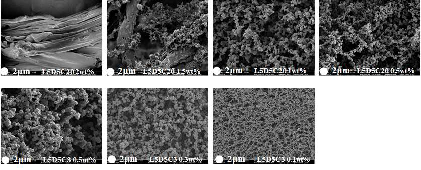 각 실험 조건에서 제조된 PLA stereocomplex의 FE-SEM 사진