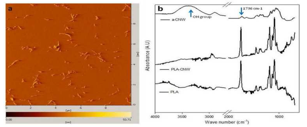 Acetylated CNW의 AFM image 와 FT-IR data