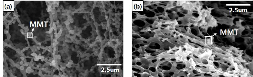 SEM imagines of (a)CTC-CA-MMT aerogel and (b)SFC-CA-MMT