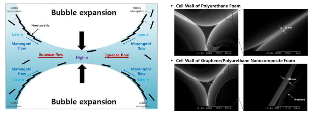 Gibbs-Marangoni effect에 관한 모식도, 우레탄 폼 및 그래핀/우레탄 나노복합체의 전자현미경 사진