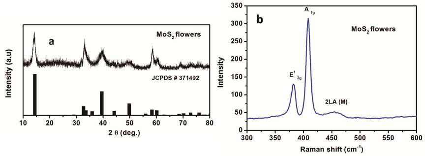 합성된 MoS2의 (a) XRD 및 (b) Raman spectrum 분석 결과.