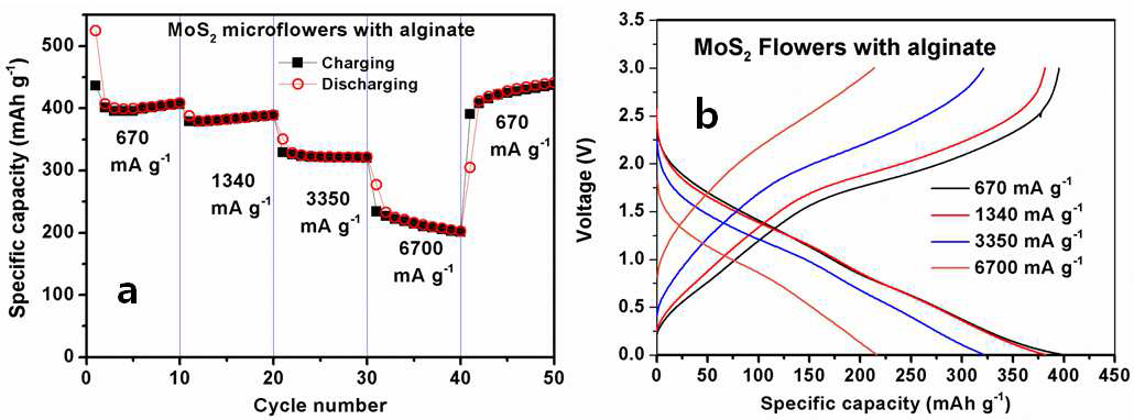 Alginate binder를 사용한 MoS2의 (a) rate capability, (b) rate에 따른 충방전 profile.