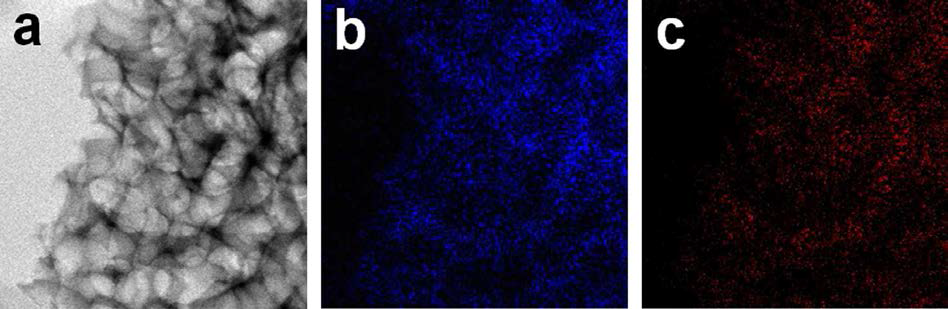 EDX mapping data of (a) Carbon, (b) Nitrogen, and (c) Surfer.