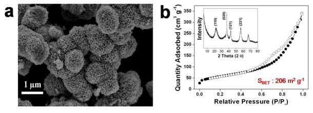 금속산화물인 γ-MnO2의 SEM 이미지 및 BET 분석.