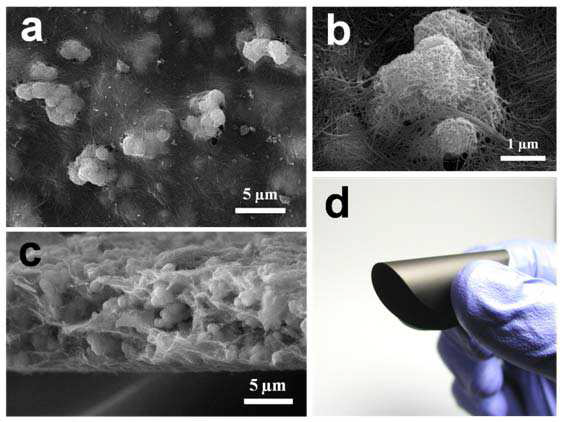 탄소나노튜브와 금속산화물인 γ-MnO2의 복합체 SEM 및 필름 광학 이미지.