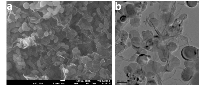 Si/rGO composite의 (a) SEM 이미지, (b) TEM 이미지.