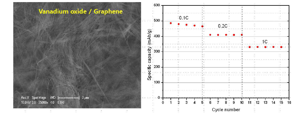 그래펜에 도핑된 Vanadium oxide 나노와이어의 SEM 이미지와 C-rate 변화에 따른 용량 특성