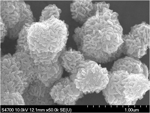 메조포러스 MnO2 나노구형체 주사전자현미경 사진