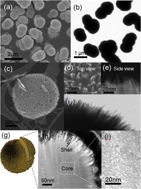 Iron oxide core-shell urchin-like 나노구조체