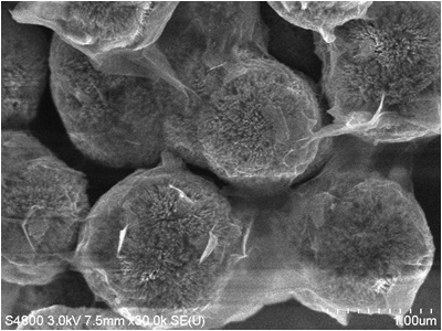 Iron oxide core-shell urchin-like 와 Graphene oxide (GO)와의 nanocomposite의 SEM사진