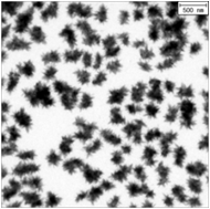 Iron oxide urchin-like 나노구조체의 TEM 사진