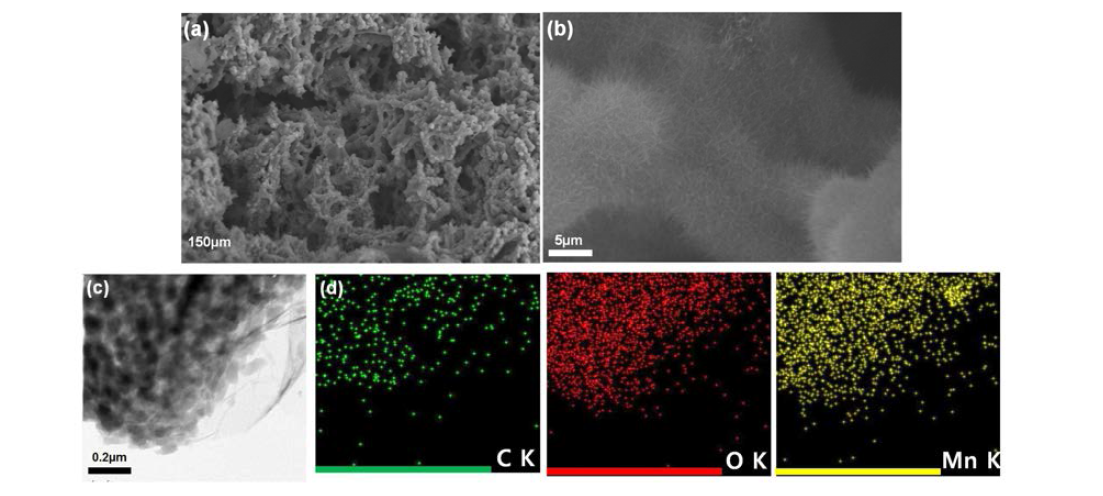 전기증착 방법을 이용한 3차원 다공성 그래펜/Mn 복합체의 (a), (b) SEM 이미지, (c)TEM 이미지와 (d) mapping 이미지.