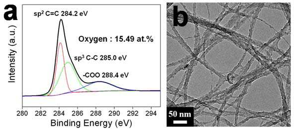 a-SWCNTs의 XPS 및 TEM 이미지.