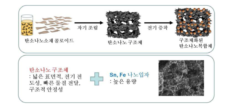 전기 증착을 이용한 탄소나노소재 기반 복합체 구조체화 모식도