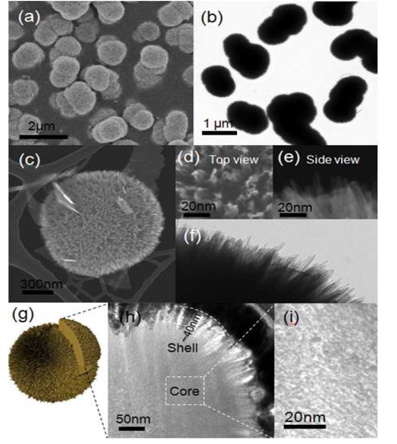 Iron oxide core-shell urchin-like 나노구조체