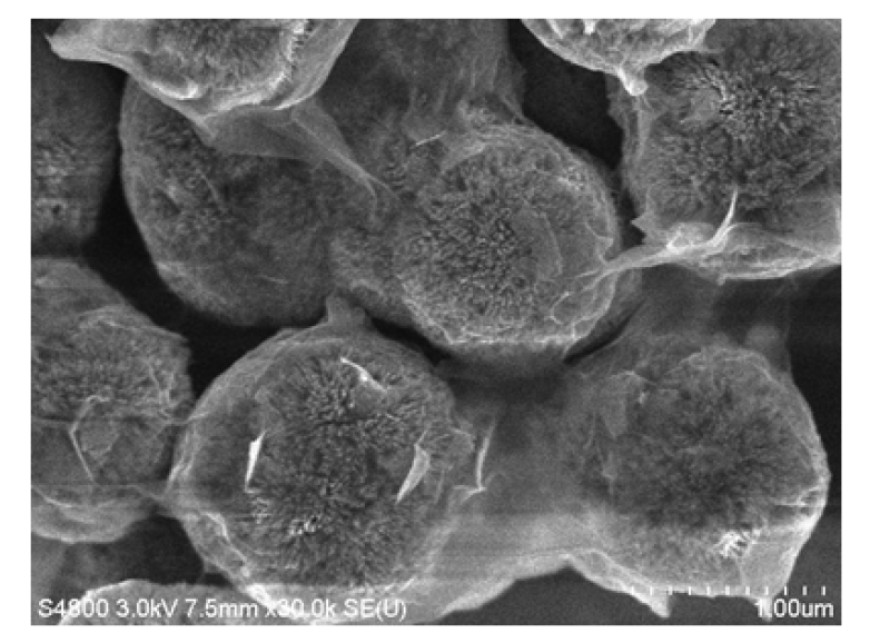 Iron oxide core-shell urchin-like 와 Graphene oxide (GO)와의 nanocomposite의 SEM사진