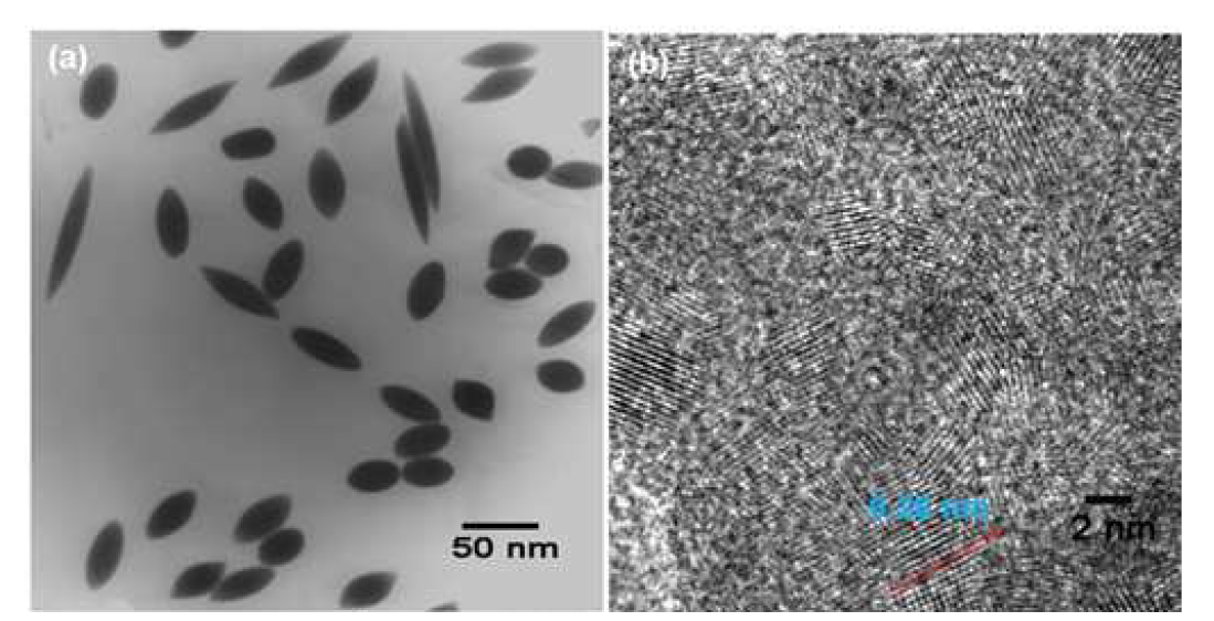 Two-step 수열반응을 통하여 rice-like Co3O4/ RGO hybrid구조의 합성 (New J. Chem. 2015; J. Mater. Chem. B, in-revision).