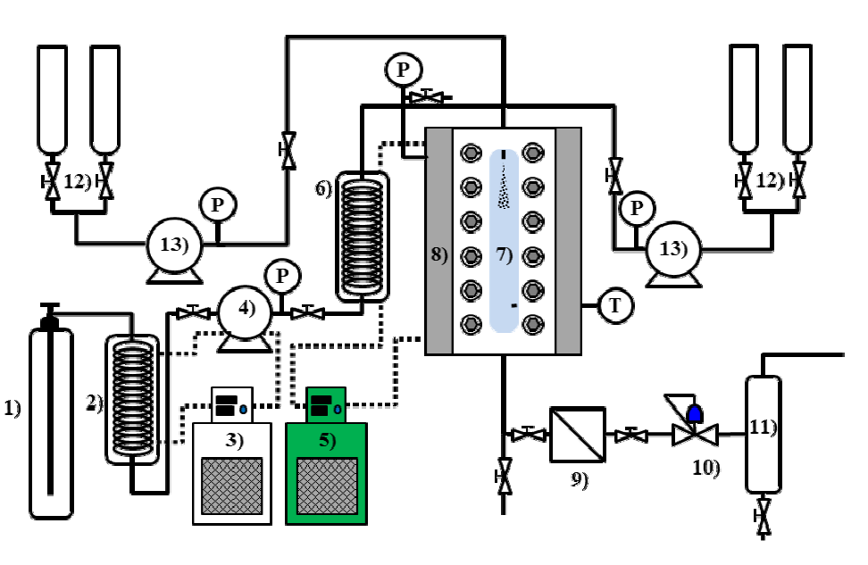 Schematic diagram of ASES apparatus