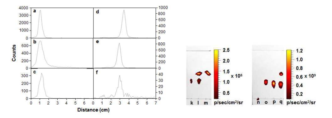 64Cu-DOTA-Lys-HSA-Cy5.5로 주사한 RR1022 종양 마우스에서 48시간 후 검출한 대사물질의 TLC 분석