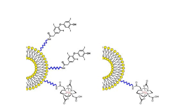 테트락/64Cu-DOTA-리포솜과 64Cu-DOTA-리포솜의 구조