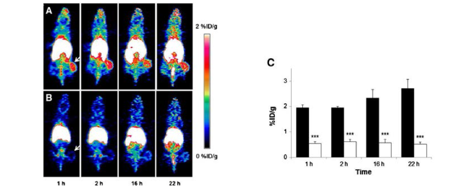 U87MG 종양모델 마우스에서 테트락/64Cu-DOTA-리포솜(A)과 64Cu-DOTA-리포솜(B)의 microPET 영상 및 종양 ROI 분석 결과(C)