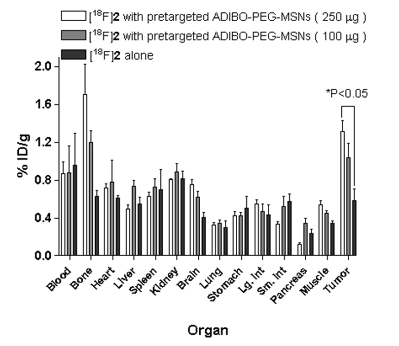 생체내 영향을 Biodistribution을 통해 확인한 결과