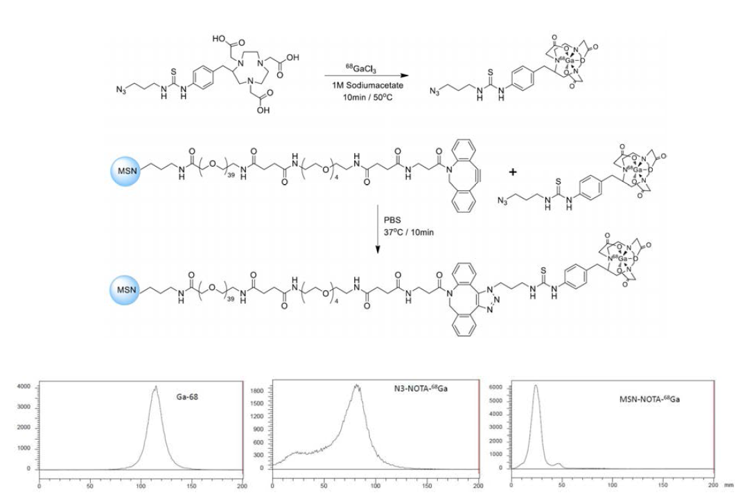 (위) MSN-PEG-NOTA-68Ga의 합성 (아래) 각 단계에서의 radioTLC 결과