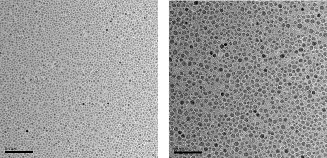 PEG를 surfactant 및 용매로 이용한 7.4nm크기의 산화철 나노입자의 투과전자현미경 이미지