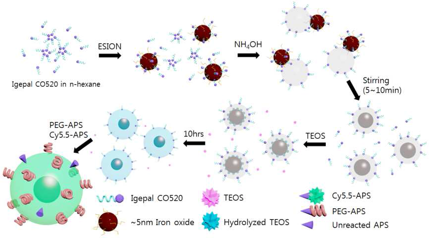 Core@Shell 산화철 나노입자 합성 모식도