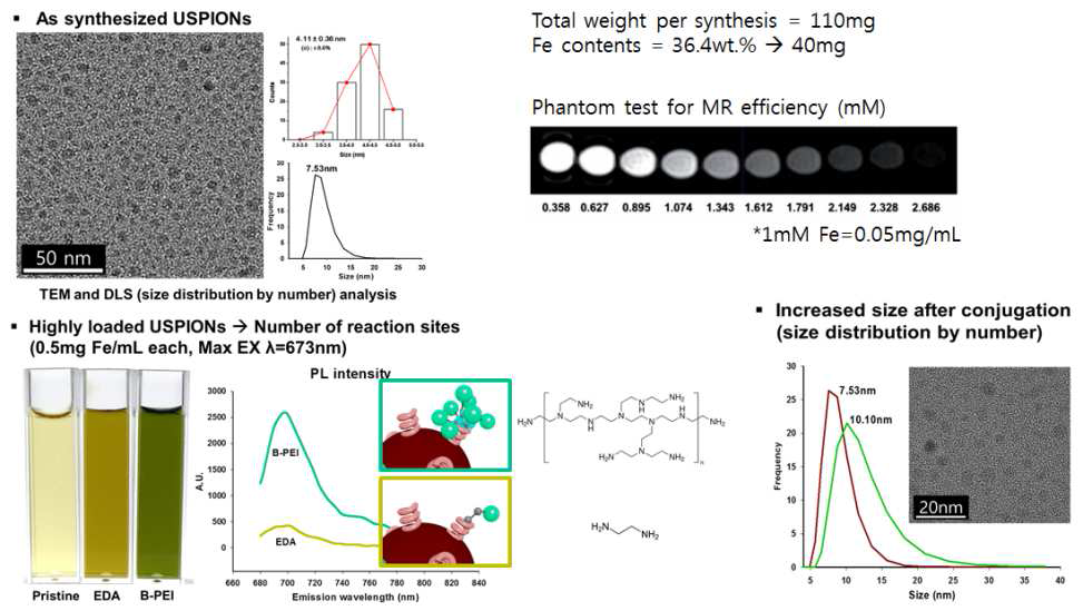 USPIONs 산화철 나노입자의 분석