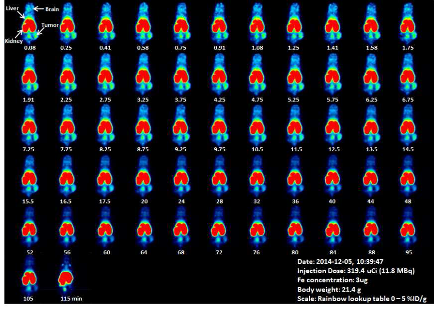 Dynamic PET images of 방사성동위원소가 표지된 USPIONs 산화철 나노입자
