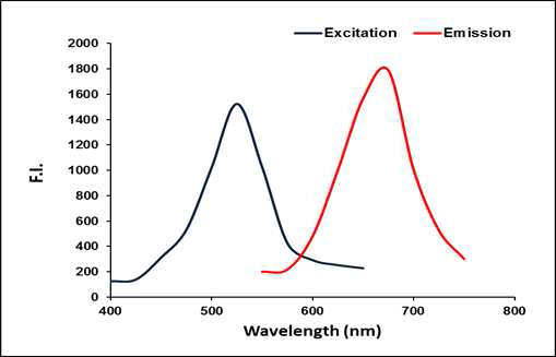 메탄올에서 커큐민 유도체의 excitation 및 emission 스펙트라