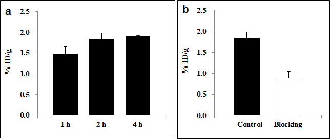 U87MG 종양모델 마우스에 68Ga-NOTA-VEGF121의 주사 후 시간별 암세포 섭취 (a);2시간 후 VEGF121에 의한 억제실험(b)