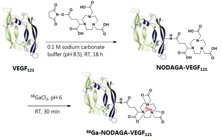 NODAGA-VEGF121 및 68Ga-NODAGA-VEGF121의 합성경로